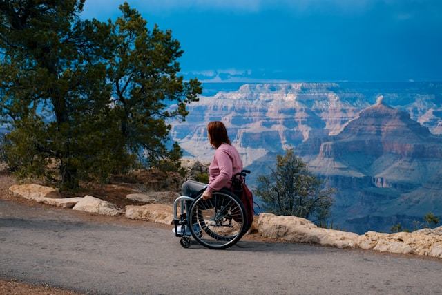 Lady On Wheelchair